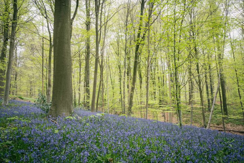 Parc naturel du Pays des Collines